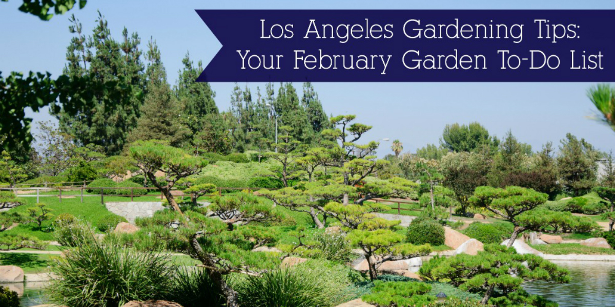 Los Angeles Gardening Tips February Garden ToDo List Joseph Treves